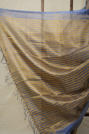 Aqua Gold Tissue Tussar Silk Saree - SRAGTTSS568