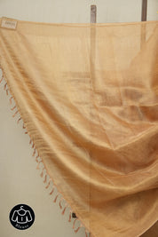 Golden Copper Tissue Tussar Silk Saree - SRGCTTSS392