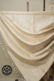 Beige Machine Embroidered Tussar Silk Saree - SRBMETSS1497