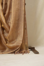 Purple Gold Tissue Tussar Silk Saree - SRPGTTSS485