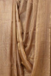 Purple Gold Tissue Tussar Silk Saree - SRPGTTSS485