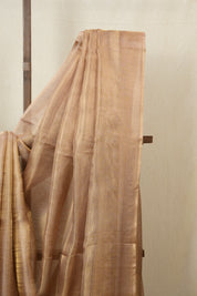 Purple Gold Tissue Tussar Silk Saree - SRPGTTSS485