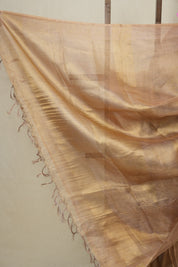 Purple Gold Tissue Tussar Silk Saree - SRPGTTSS485