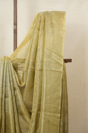Mustard Silver Tissue Tussar Silk Saree - SRMSTTSS478