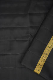 Golden Green  Kanjivaram Silk Saree - Saavari - SSGGKSS94