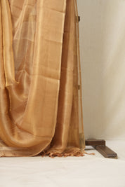 Golden Brown Tissue Tussar Silk Saree - SRGBTTSS495