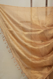 Golden Brown Tissue Tussar Silk Saree - SRGBTTSS495