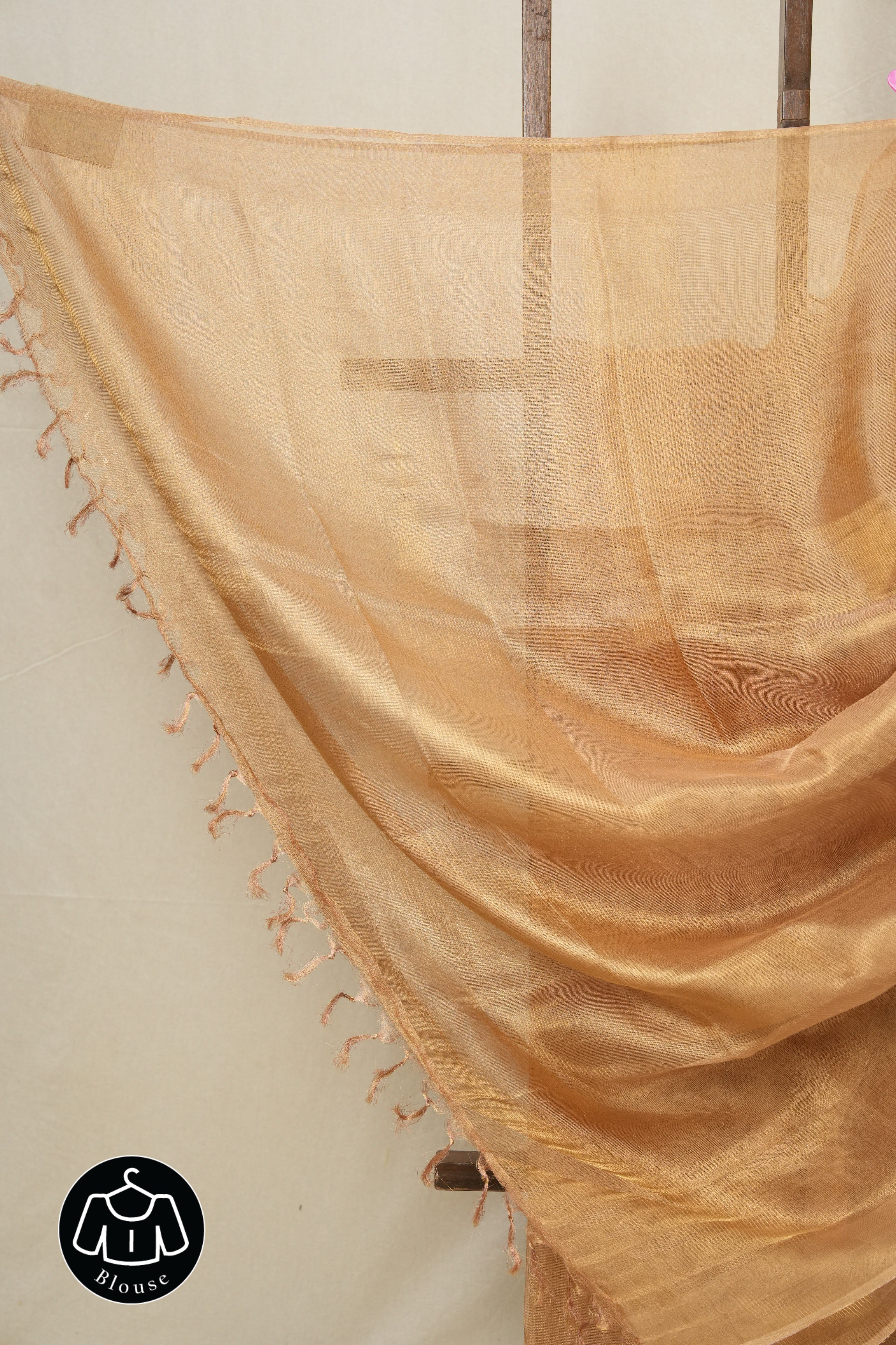 Golden Brown Tissue Tussar Silk Saree - SRGBTTSS495
