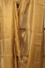 Light Grey Gold Tissue Tussar Silk Saree - SRLGGTTSS499