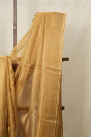 Light Grey Gold Tissue Tussar Silk Saree - SRLGGTTSS499