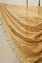 Light Grey Gold Tissue Tussar Silk Saree - SRLGGTTSS499