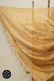 Light Grey Gold Tissue Tussar Silk Saree - SRLGGTTSS499