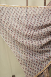 Light Brown Kota Doria Saree - SRLBKDS276