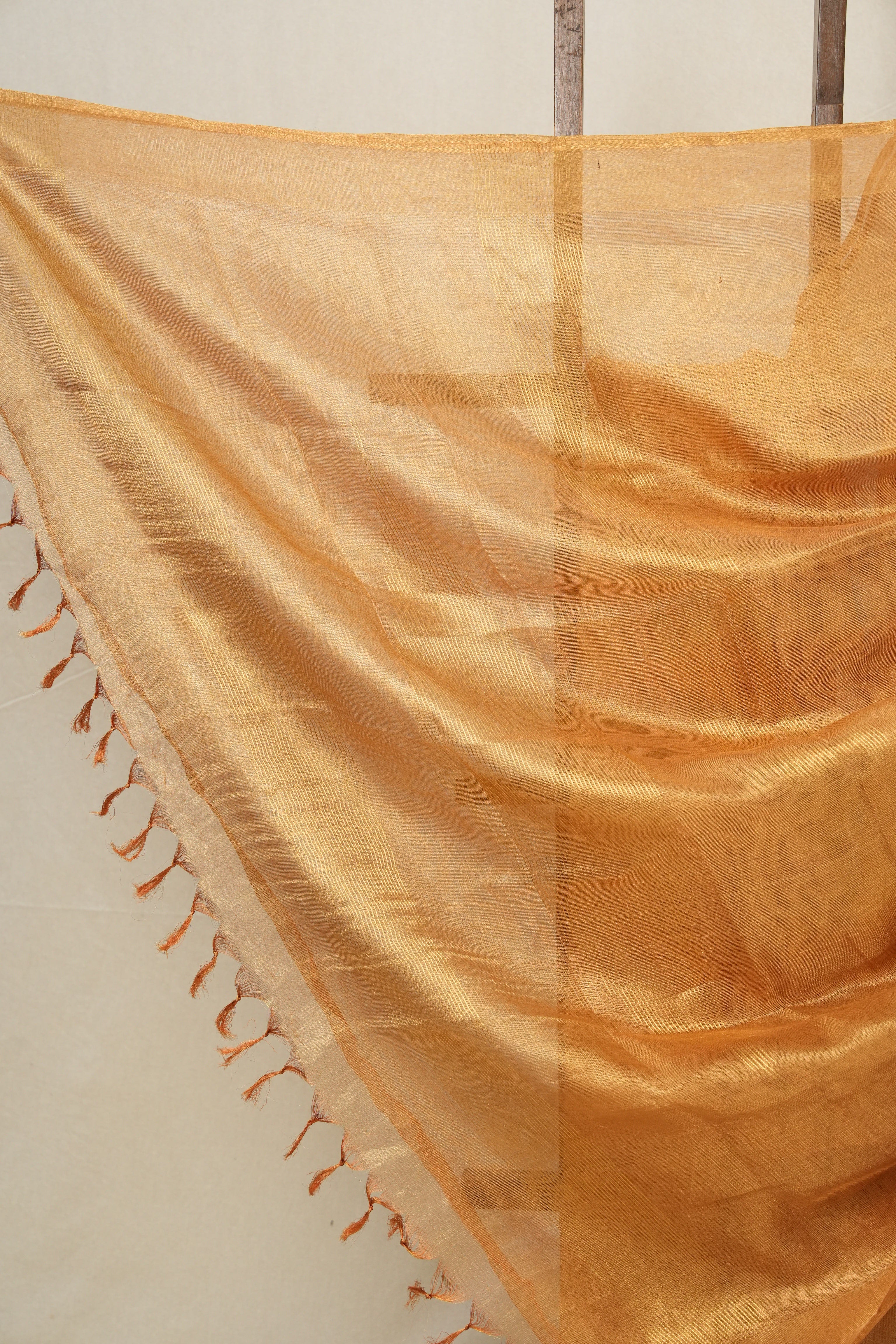 Orange Gold Tissue Tussar Silk Saree - SROGTTSS496