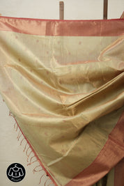 Light Green Gold Maheshwari Tissue Saree - SRLGGMTS667