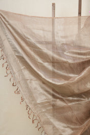 Brown Silver Tissue Tussar Silk Saree - SRBSTTSS509