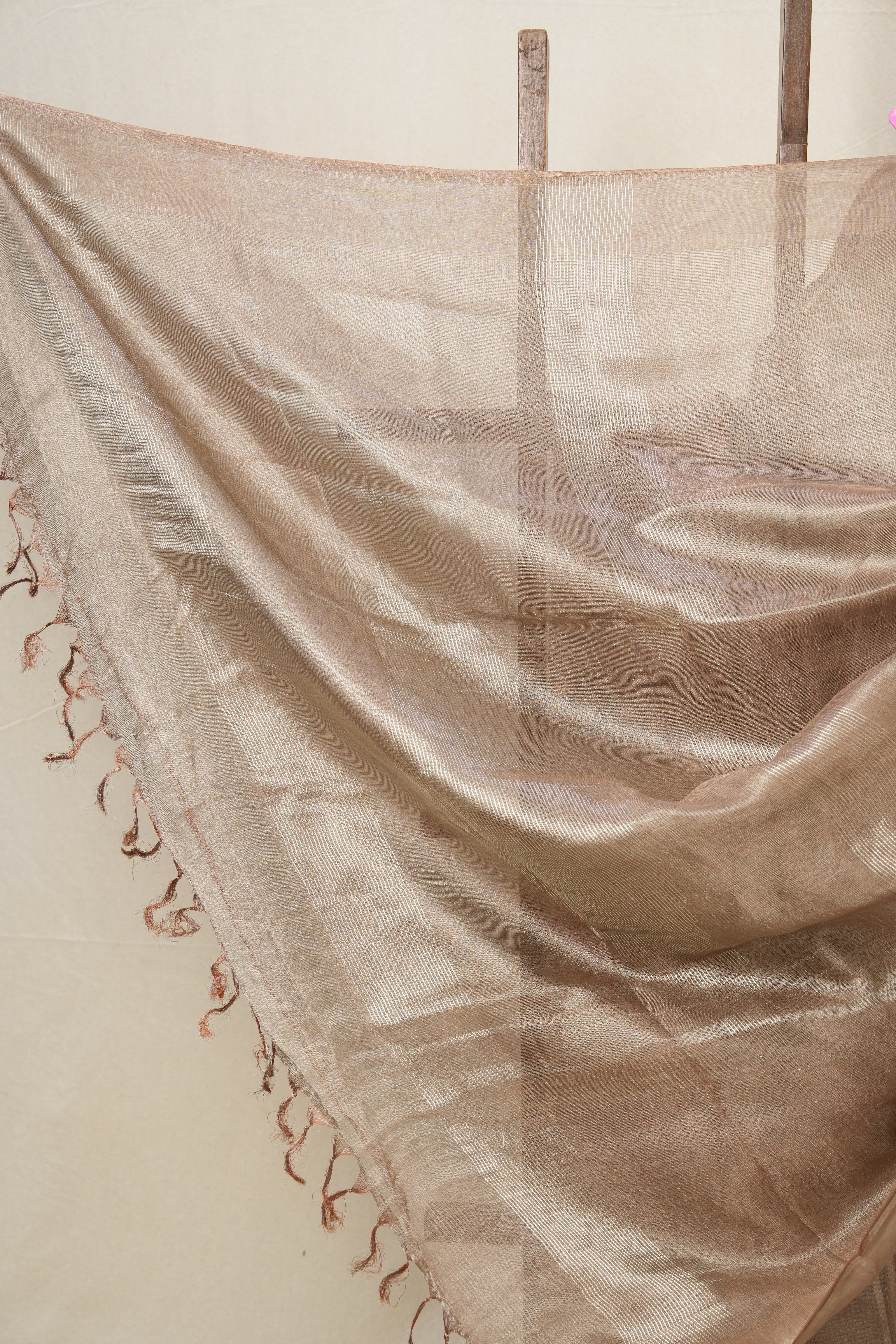 Brown Silver Tissue Tussar Silk Saree - SRBSTTSS509