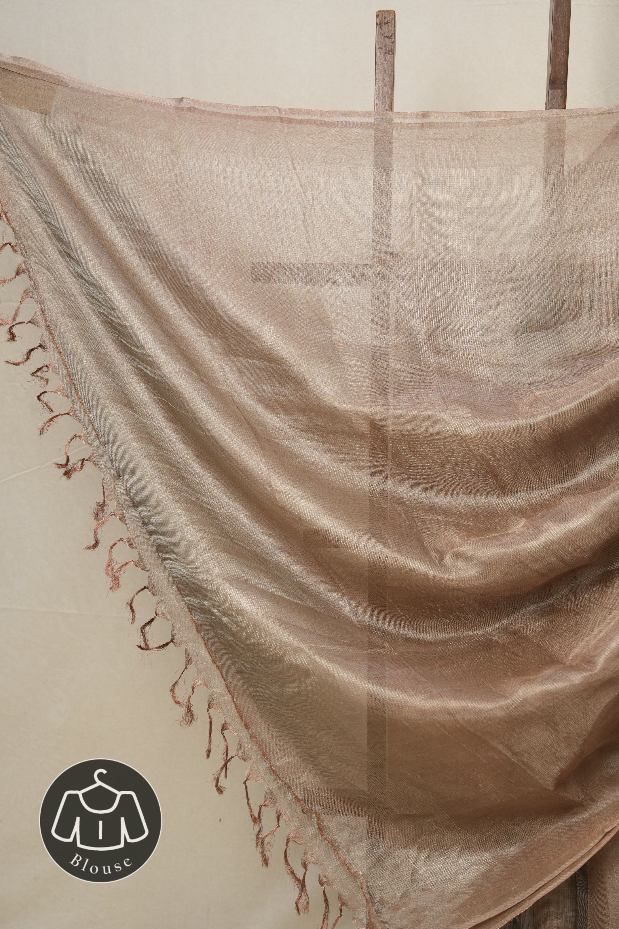 Brown Silver Tissue Tussar Silk Saree - SRBSTTSS509