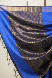Blue Raw Silk Saree - SRBRSS940