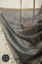 Blue-Gold Tissue Tussar Silk Saree - SRBGMTTSS603