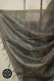 Black-Multicolor Tissue Tussar Silk Saree - SRBMTTSS601