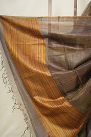 Black-Brown Tissue Tussar Silk Saree - SRBBTTSS599
