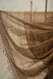 Brown Tissue Tussar Silk Saree - SRBTTSS598