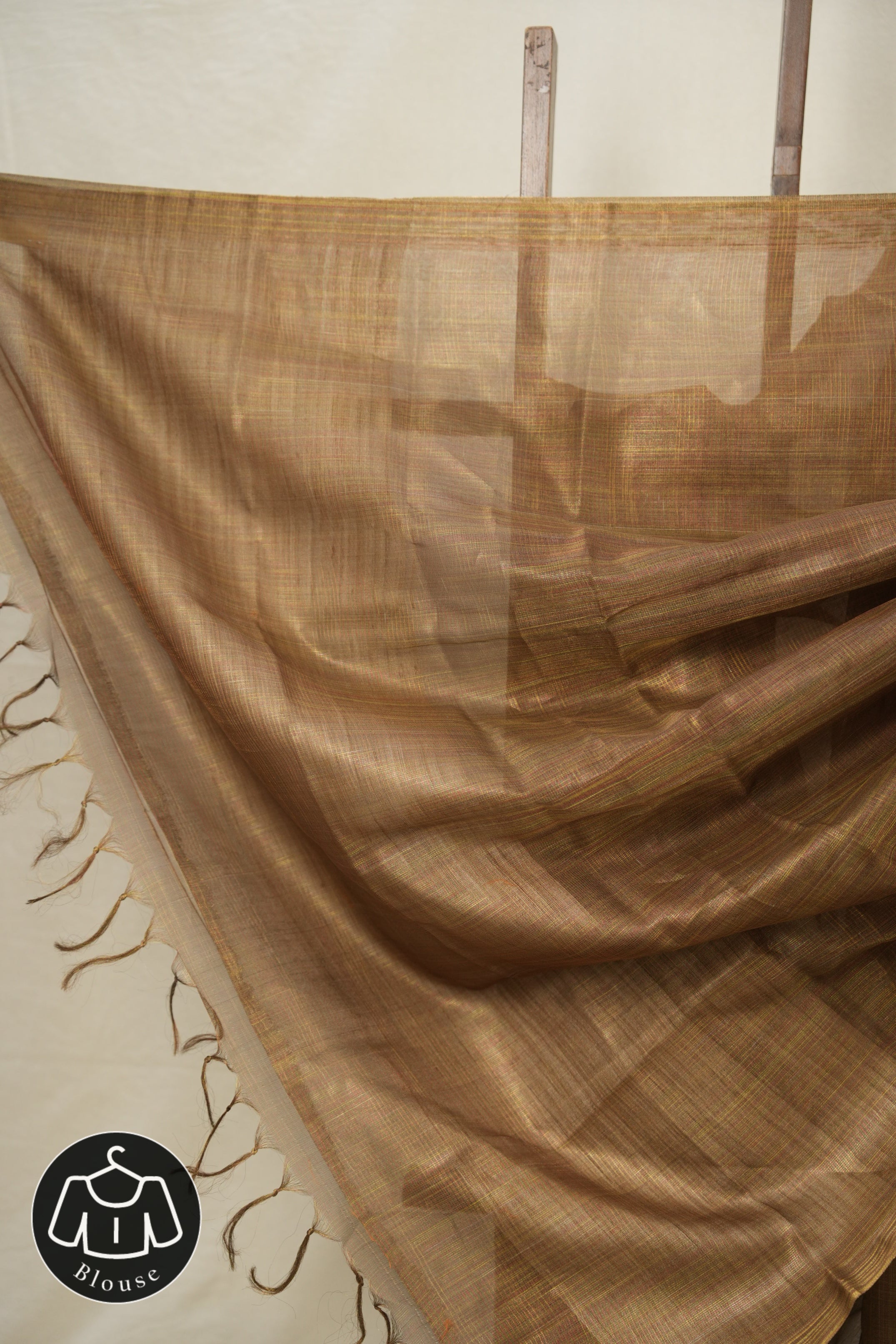 Brown Tissue Tussar Silk Saree - SRBTTSS598