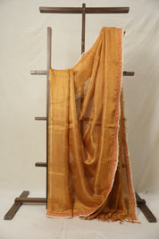 Orange - Gold Tissue Tussar Silk Saree With Lace - SRGOGTTSSWL15
