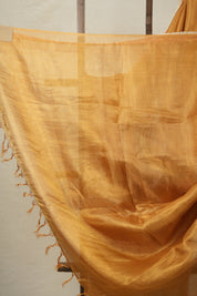 Orange - Gold Tissue Tussar Silk Saree With Lace - SRGOGTTSSWL15