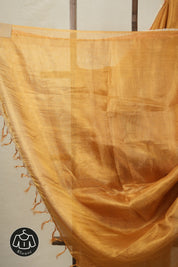 Orange - Gold Tissue Tussar Silk Saree With Lace - SRGOGTTSSWL15