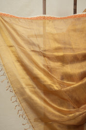 Lilac - Gold Tissue Tussar Silk Saree With Lace - SRGLGTTSSWL14