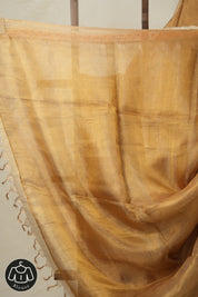 Lilac - Gold Tissue Tussar Silk Saree With Lace - SRGLGTTSSWL14