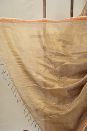Grey-Lavender - Gold Tissue Tussar Silk Saree With Lace - SRGLGTTSSWL13