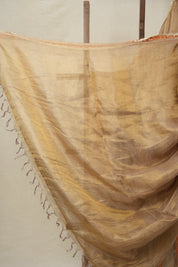 Grey-Lavender - Gold Tissue Tussar Silk Saree With Lace - SRGLGTTSSWL13