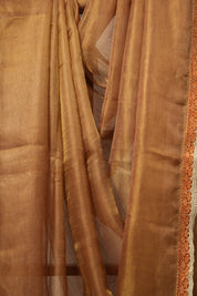 Brown - Gold Tissue Tussar Silk Saree With Lace - SRBGTTSSWL12