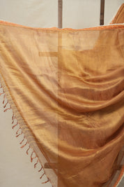 Brown - Gold Tissue Tussar Silk Saree With Lace - SRBGTTSSWL12