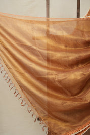 Brown - Gold Tissue Tussar Silk Saree With Lace - SRBGTTSSWL12