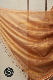 Brown - Gold Tissue Tussar Silk Saree With Lace - SRBGTTSSWL12