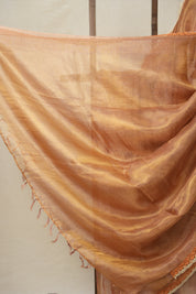 Pink - Gold Tissue Tussar Silk Saree With Lace - SRPGTTSSWL11