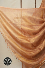 Pink - Gold Tissue Tussar Silk Saree With Lace - SRPGTTSSWL11