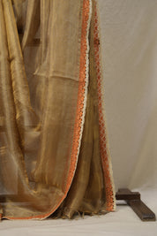 Greyish - Gold Tissue Tussar Silk Saree With Lace - SRGGTTSSWL10