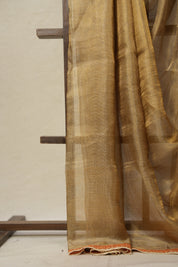Greyish - Gold Tissue Tussar Silk Saree With Lace - SRGGTTSSWL10