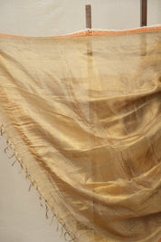 Greyish - Gold Tissue Tussar Silk Saree With Lace - SRGGTTSSWL10