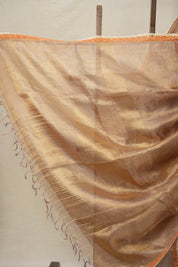 Gold - Lavender Tissue Tussar Silk Saree With Lace - SRGLTTSSWL07