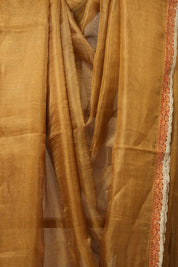 Orange - Gold Tissue Tussar Silk Saree With Lace - SROGTTSSWL09