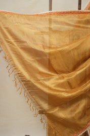 Orange - Gold Tissue Tussar Silk Saree With Lace - SROGTTSSWL09