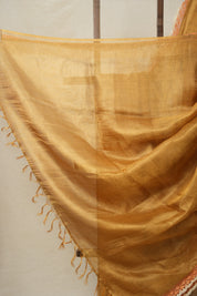 Orange - Gold Tissue Tussar Silk Saree With Lace - SROGTTSSWL09