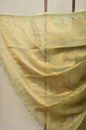 Metallic - Gold Tissue Tussar Silk Saree With Lace - SRMGTTSSWL08