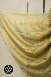 Metallic - Gold Tissue Tussar Silk Saree With Lace - SRMGTTSSWL08